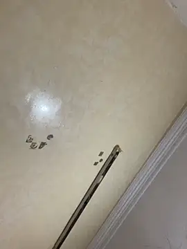 asmaestrip's cam snapshot