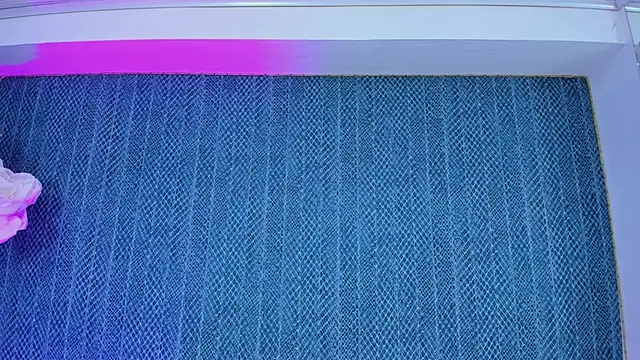 LeaMoreau22's cam snapshot