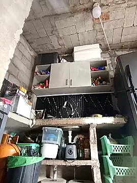 Aleley_2024's cam snapshot