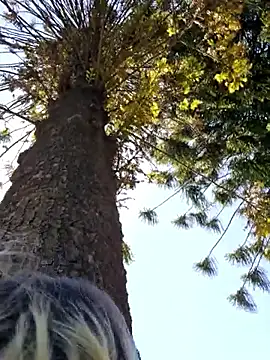 Public_Katrisha live sex cam