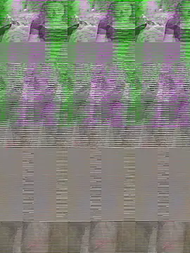 Kiran_bhabi live sex cam