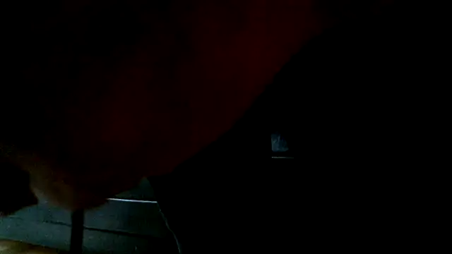 orello1's cam snapshot