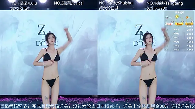 SK-001's cam snapshot