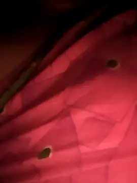 Sneha_gril live sex cam