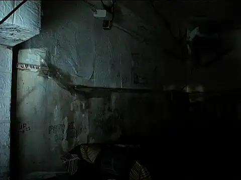 manilafoxts's cam snapshot