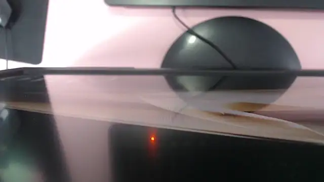 raven_ch_1's cam snapshot