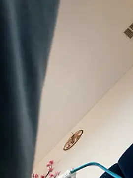 dickmedaddy27's cam snapshot