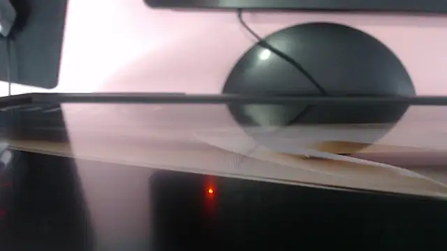 raven_ch_1's cam snapshot