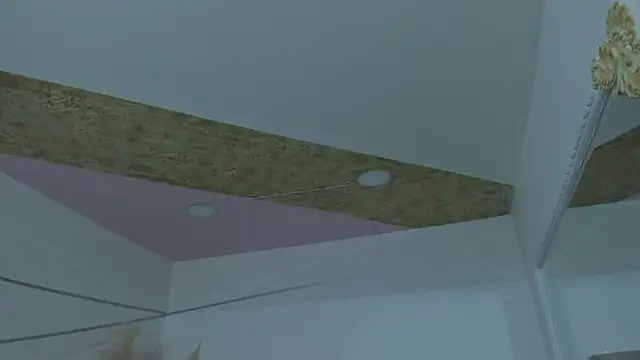 PandoraRider's cam snapshot