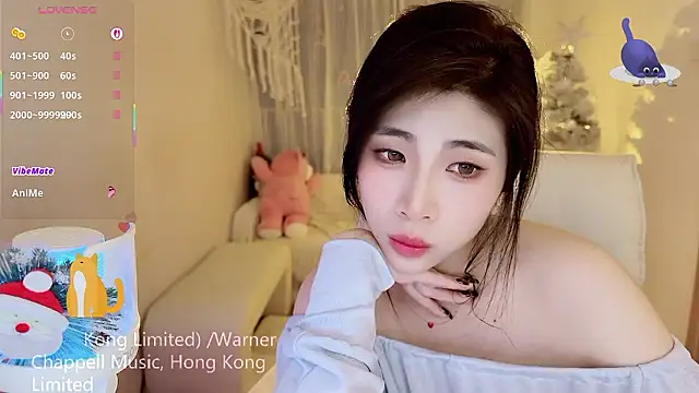 Vaidurya-Yolo's cam snapshot