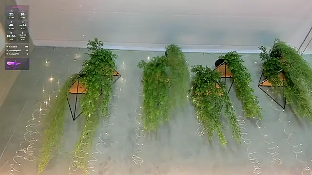 Lana_Lann live sex cam