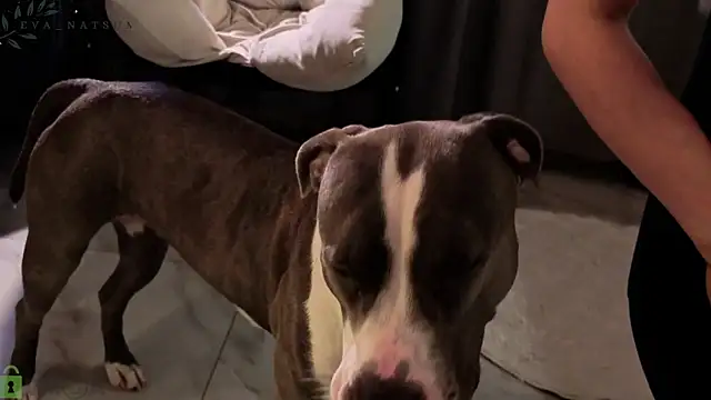 Eva_Natsumi live sex cam