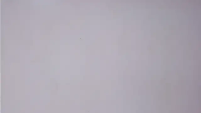 game_with_lesbians_ live sex cam