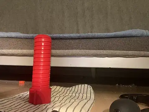 mesetti's cam snapshot