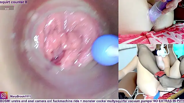 MaryBrook1 live sex cam