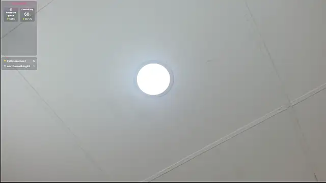 rous_0's cam snapshot