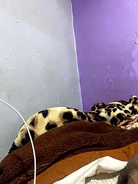 mohamed75893 live sex cam