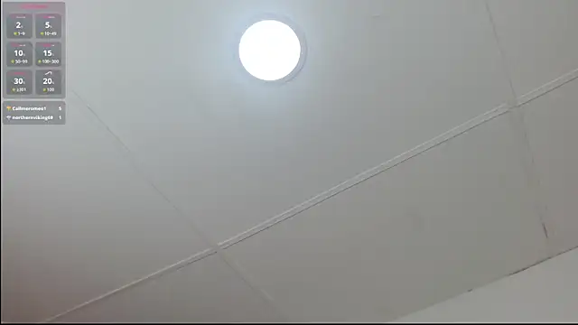 rous_0's cam snapshot