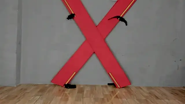 wildsexinmyroom's cam snapshot