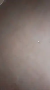 MiFlapito's cam snapshot