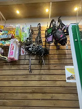 Leonardmoppet live sex cam