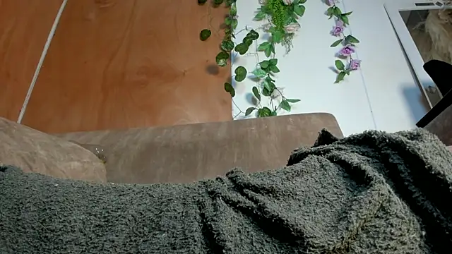 adhara_hotter's cam snapshot