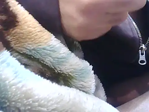 brilliant9 live sex cam