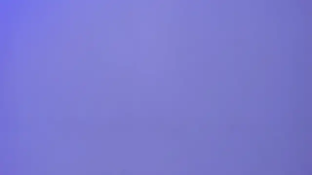 revenmiller_'s cam snapshot