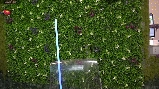 Ana_Lexus's cam snapshot