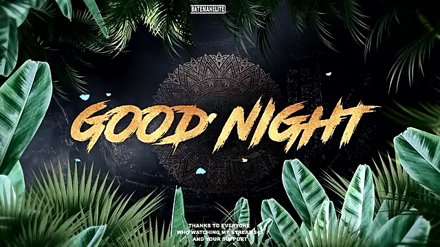 sebirp's cam snapshot