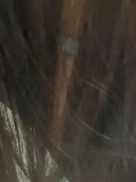 Mina048's cam snapshot