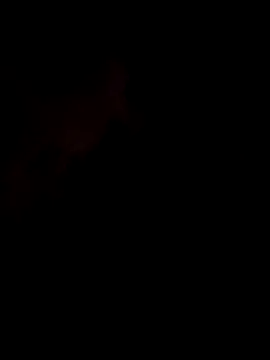 CoralSmit live sex cam