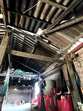 siki-00's cam snapshot