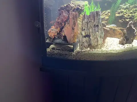 Cooper_Bandit's cam snapshot