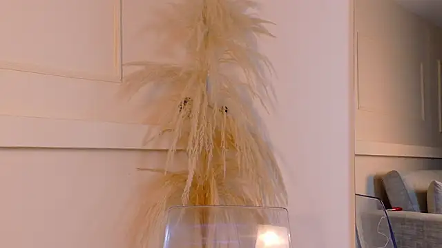 ZaneDawson live sex cam