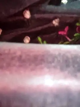 Saishaa live sex cam