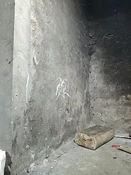 apple0011's cam snapshot