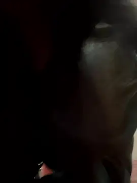 CieloTaylor's cam snapshot