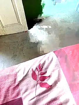 Horny-boyyy live sex cam