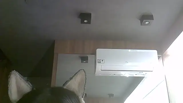 SkinnyKitten live sex cam