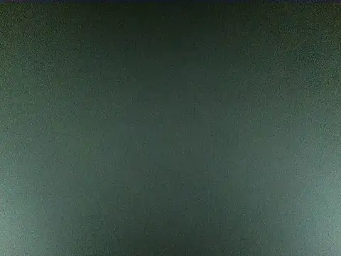 Lynn_Julia's cam snapshot