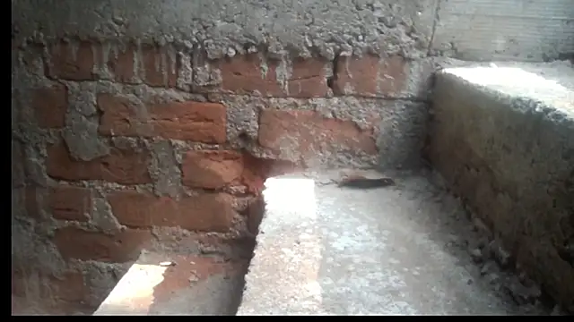 rishabalex's cam snapshot