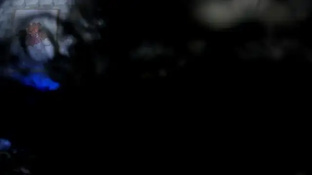 Priscila_Bell's cam snapshot