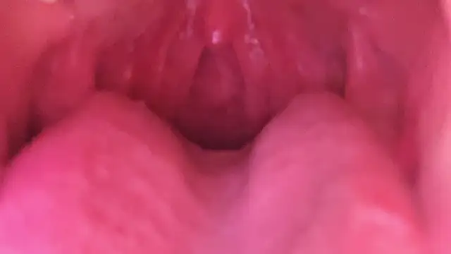 LT-333's cam snapshot