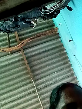 Hot-honi's cam snapshot