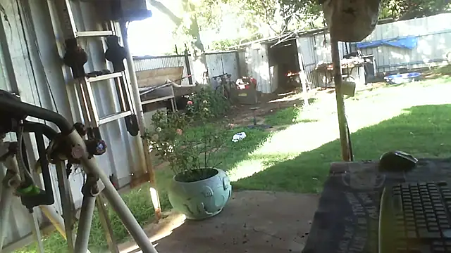 herbie010666 live sex cam