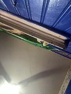 WhiteMeatsRican's cam snapshot