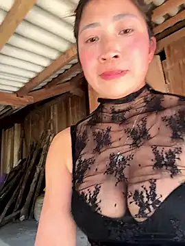 ThiHa003's cam snapshot