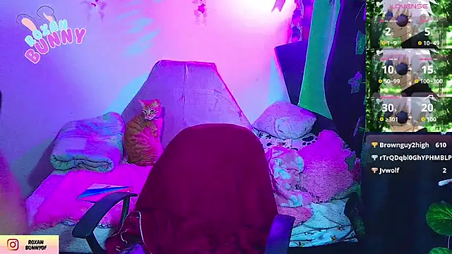 Roxanbunny1's cam snapshot