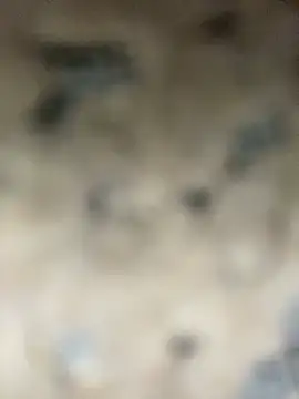 Xo_xo237 live sex cam